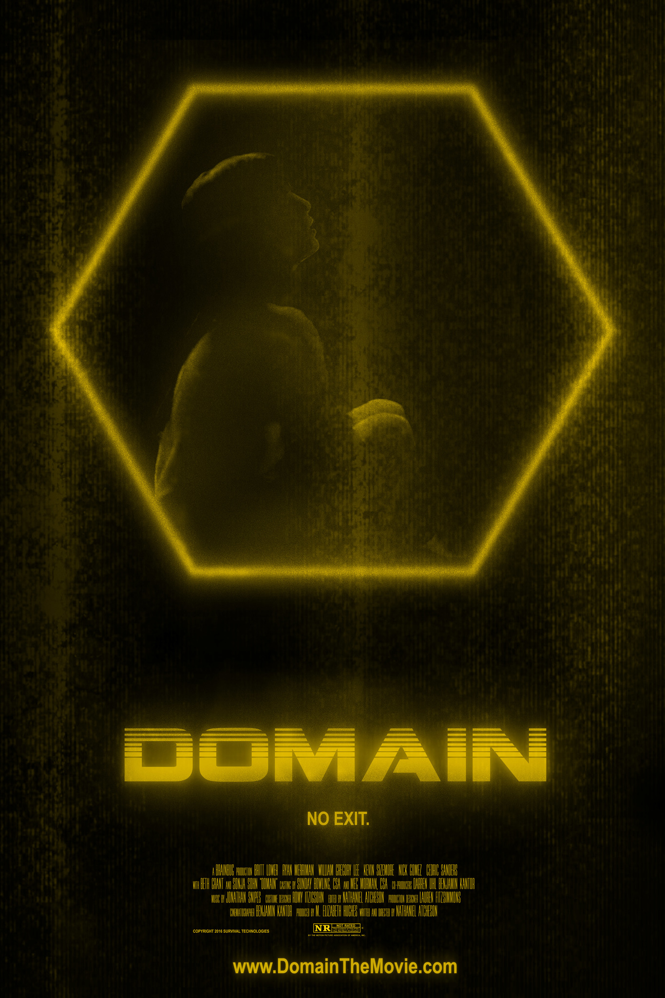 Download Domain (2017) WEB-DL Dual Audio Hindi ORG Full Movie 1080p | 720p 480p [350MB] download